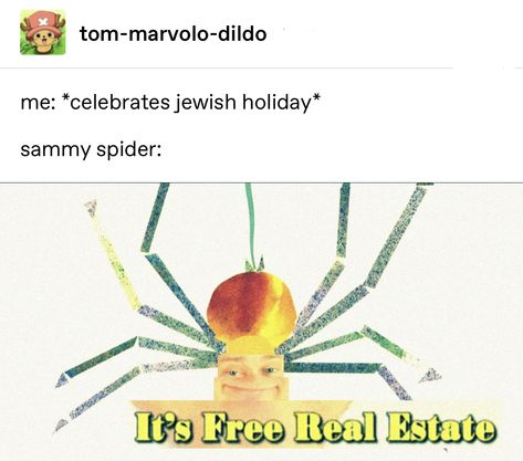 Torah Quotes, Jewish Humor, Jewish Girl, Hunger Games Memes, Jewish People, Jewish Culture, Jewish Holiday, Torah, Tumblr Posts