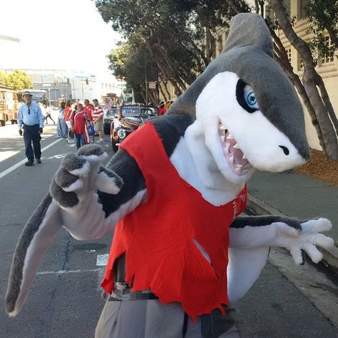 Fursuits | McKinley's Workshop Shark Fursuit, Erwin Schrodinger, Fursuit Inspiration, Shark Mascot, Fursona Ideas, Shark Mask, Quick Costumes, Fur Suit, Cool Sharks