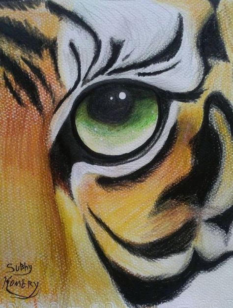 Tiger Eye Drawing, Tiger Drawing, Drawing Eye, Eye Of The Tiger, Animal Illustration Art, Tiger Painting, Animal Drawings Sketches, Drawing Eyes, Drawing Animals