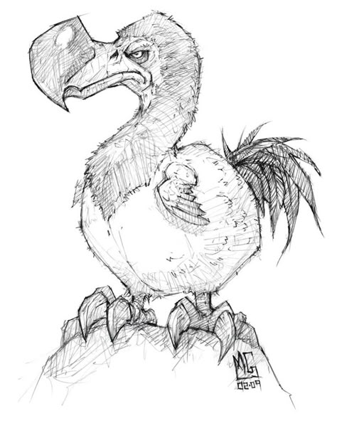 Dodo Bird Art, Cataclysm Art, Dodo Bird Drawing, Dodo Drawing, Dodo Illustration, Dodo Bird, Warcraft Art, Sketch Inspiration, Bird Drawings