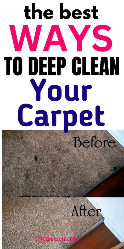 I’m excited to share my top 17 carpet cleaning hacks with you. These tips will keep your carpet looking fresh without breaking the bank. Say goodbye to the stress of constant spills, and hello to a cleaner, more budget-friendly solution! Deep Clean Carpet, Best Carpet Cleaning Solution, Microwave Sponge, Cleaning Carpet Stains, Homemade Jewelry Cleaner, Pet Odor Remover, Carpet And Upholstery Cleaner, Carpet Cleaner Solution, Clean Carpet