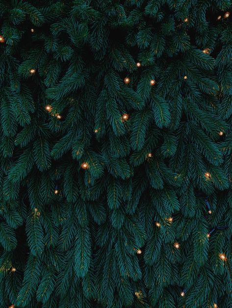 Kalėdos Green Christmas Wallpaper Aesthetic, Green Christmas Wallpaper, Christmas Tree Wallpaper Iphone, Christmas Wallpaper Aesthetic, Tree Wallpaper Iphone, Winter Iphone, Iphone Wallpaper Winter, Christmas Tree Wallpaper, Christmas Tree Background