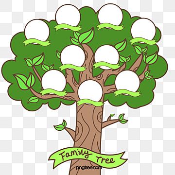 tree clipart,genealogy tree,green,hang photo,family tree,tree,vector,hand painted,round,greenery,genealogy,familia Family Tree Graphic, Family Tree Clipart, Genealogy Tree, Family Tree Painting, Family Tree Designs, Tree Diagram, Christmas Tree Background, The Giving Tree, Tree Family