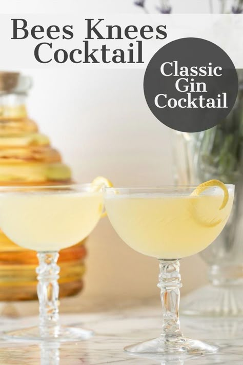 Bees Knees Cocktail Gin, Gin Cocktails Easy, Gin Tonic Recetas, Bees Knees Cocktail, Easy Gin Cocktails, Best Gin Cocktails, Classic Gin Cocktails, Gin Cocktail Recipes, Gin Drinks