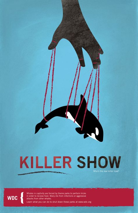 The Graphic Imperative: Killer Whale Captivity by Maia Bridges, via Behance Animals In Captivity, Animal Protection Poster, Animal Cruelty Art, Advocacy Poster, Save Animals Poster, World Oceans Day, Wildlife Protection, Conservation Art, Save Wildlife