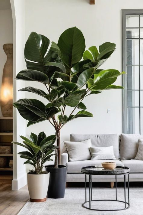 10 Best Large Indoor House Plants Indoor Large Plants, Large House Plants Indoor, Big House Plants, Plant Decor Living Room, Big Indoor Plants, Indoor House Plants, Large Indoor Plants, Bring Nature Indoors, Living Room Plants