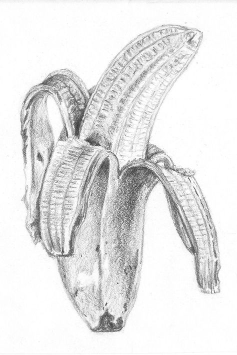 Banana Sketch, Peeled Banana, Banana Painting, Rendering Drawing, Fruit Sketch, Fruit Art Drawings, Warm Scarves, Graphite Art, Gcse Art Sketchbook