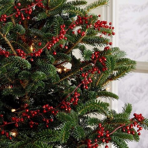 Red Tree Garland, Cranberry Garland Christmas Tree, Clean Christmas Aesthetic, Cranberry Christmas Tree, Santas Grotto, Christmas Tree Garland Ideas, Small Patios, Holidays 2023, Christmas Lights Garland