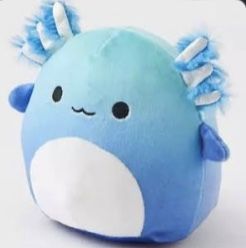 Axolotl Squishmallow, Blue Axolotl, Dorm Room Themes, Pink Dorm Rooms, Pink Dorm, Cute Axolotl, Toy Animals, Teddy Bear Stuffed Animal, Room Themes