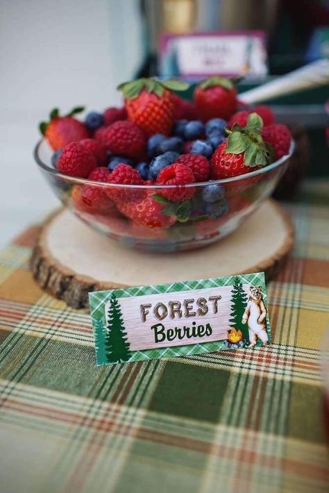 Camping Party Theme Decorations, Campfire Birthday Party Ideas, National Park Birthday Party, Camping Birthday Party Food, Camping Birthday Party Ideas, Happy Camper Birthday Party, Vintage National Park, Camping Theme Birthday Party, Campfire Party