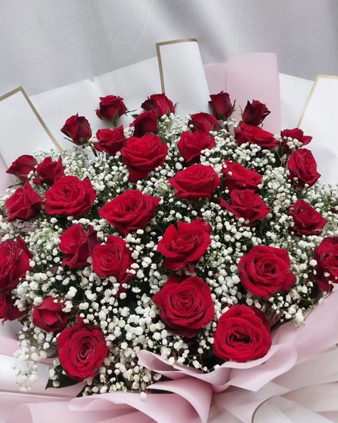 Today's "BIG BOUQUETS" order 😳😍✨ 🌹 3 Dozen Rose Bouquet with Gypsophila 💰 Money Bouquet with 1 Dozen Rose (w/ 20K cash) Big thanks to you, ma'am Mirasol, for your trust and repeat order! 🙏🩷😁 #TodaysSurprise #TodayaOrder #BigBouquets #BigFlowerBouquets #RoseBouquet #MoneyBouquet #GiftIdeas #SurpriseIdeas #SurpriseCebu #Cebu #CebuSurprise #SMNC #SurpriseMeNowCebu Bouquet With Gypsophila, Dozen Roses, Money Bouquet, Thanks To You, Big Thanks, Cebu, Rose Bouquet, Flowers Bouquet, Bouquets