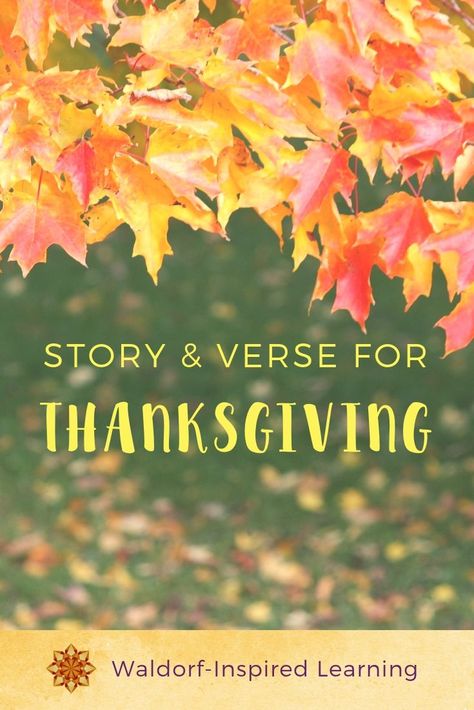 Thanksgiving story & verse, great for homeschooling. In the midst of all of our preparations, we can celebrate the blessings of our family & friends. #waldorfhomeschooling #thanksgiving #story&versethanksgiving Waldorf Thanksgiving, Dragon Bread, Waldorf Autumn, Waldorf Festivals, Waldorf Learning, Thanksgiving Story, Waldorf Homeschooling, Thanksgiving History, Thanksgiving Stories