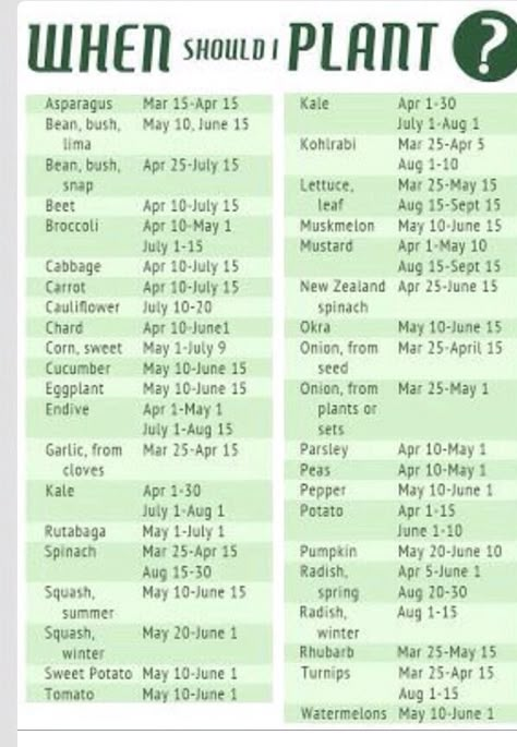 Vegetable Planting Schedule, Planting Schedule, Vegetable Planting, Garden Vegetables, Veg Garden, Home Vegetable Garden, Food Garden, Planting Vegetables, Veggie Garden