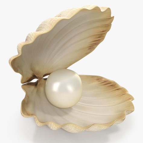 Sea Shell With Pearl 3D Model #AD ,#Shell#Sea#Model#Pearl Sea Shell With Pearl, Shell With Pearl, 3d Modelle, Real Model, 3ds Max Models, 3d Warehouse, 3d Artist, Phone Themes, Sea Shell