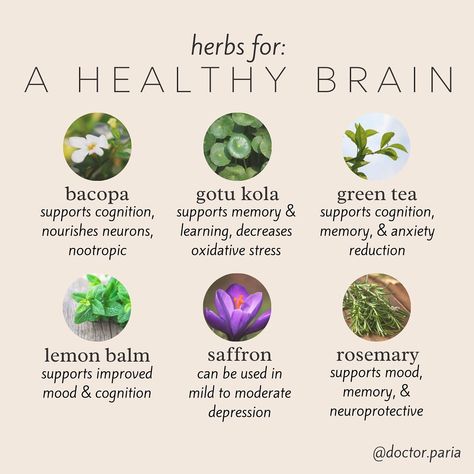 Dr. Paria | Health & Wellness’s Instagram profile post: “Going into 2022 ready to feel sharp 😎🌱🧠    Check out the studies that support these herbs👇🏼    Bacopa: PMID 23772955    Gotu kola:…” Bacopa Benefits, Gotu Kola Benefits, Sacred Herbs, Medicinal Herbs Garden, Nerve Health, Medical Herbs, Magic Herbs, Gotu Kola, Herbal Apothecary