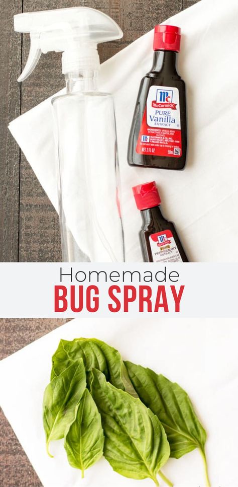 Bug spray is a must during summer months, but it's not always easy to find a natural option that actually works. Here are several recipes for all-natural homemade bug sprays that use ingredients you probably have in your kitchen already. Plus, I've included a recipe for DIY citronella candles to keep the bugs away! How To Make Bug Spray, Natural Any Spray, Homemade Bug Spray For Home, Tea Tree Oil Uses Insect Repellent Natural Bug Spray, Mosquito Repelling Spray Diy, Diy Bug Spray For Yard, Vanilla And Water Bug Spray, Vanilla Insect Repellent, Pet Safe Insect Repellent