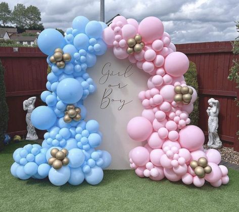 DIY GENDER REVEAL BALLOON ARCH KIT DIY BABY SHOWER BALLOON ARCH KIT #balloonarch #balloongarland #balloondecor #balloonbackdrop #genderrevealparty #babyshowerthemes #shopsmall #ohbaby #itsaboy #itsagirl #twinkletwinklelittlestar #partythemes #partyideasforkids #shopsmallbiz #partydecoration #partydeco #partydecorationideas #ohbaby Gender Reveal Balloon Arch, Gender Reveal Balloon Garland, Baby Shower Balloon Arch, Pregnancy Pics, Gender Reveal Party Theme, Idee Babyshower, Garland Ideas, Gender Reveal Balloons, Gender Party