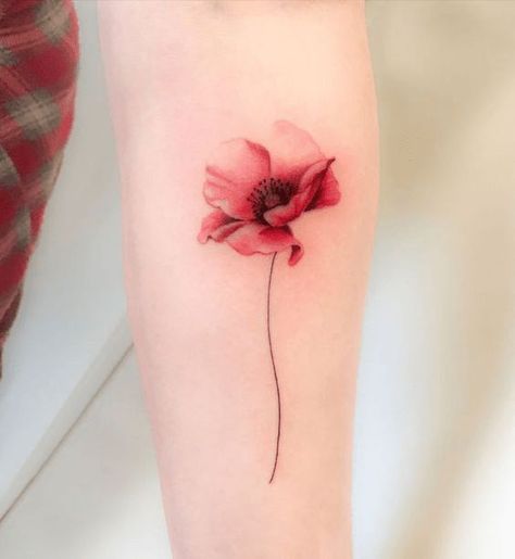 Colourful Flowers Tattoo, Women Tattoos Color, Poppy Tattoo Collar Bone, Coloured Tattoo Ideas, Color Poppy Tattoo, Delicate Poppy Tattoo, Flower Tattoos Colorful, Tattoo Hoa Mini, Colourful Tattoo For Women