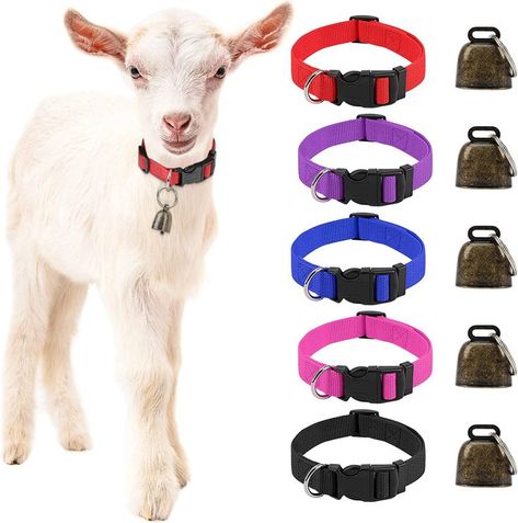 🐐Goat collars with bells 😍 Goat Collar, Cow Accessories, Pet Goat, Sheep Grazing, Goat Barn, Goat Kidding, Mini Horse, Pet Gear, Small Farm