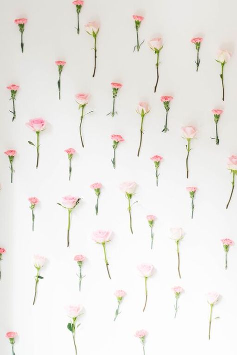 Cake For Breakfast, Birthday Wall, How To Apply Blush, Flower Room, Background Diy, Blush Tones, Floral Nursery, Floral Backdrop