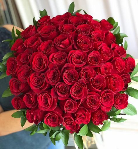 www.coralpath.co on Instagram: “50 red roses in a bouquet tied up by the best! 🌹❤️” 50 Roses Bouquet Flower Arrangements, 50 Rose Bouquet, 50 Red Roses Bouquet, Flowers Roses Bouquet, Red Roses Bouquet, Luxury Florists, Monogram Cake, Red Bouquet, Red Rose Bouquet