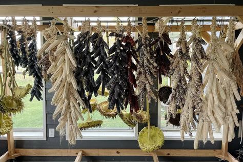 Indigenous Food, Oneida Nation, Food Sovereignty, October Morning, Trail Of Tears, Wisconsin Travel, Indigenous Community, Clay Soil, Wine Enthusiast