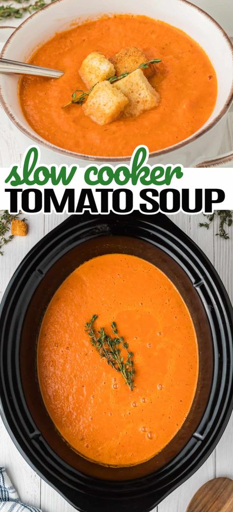 Slow Cooker Classic Tomato Soup a creamy, rich and vibrant soup. A traditional classic made easy in the slow cooker. Easy Tomato Soup Crockpot, Tomato Basil Soup Slow Cooker, Ww Tomato Soup Recipes, Crock Pot Tomatoes Soup, Slow Cooker Summer Italian Soup, Slow Cooker Tomato Soup With Fresh Tomatoes, Tomatoe Tortalini Soup Crockpot, Crockpot Recipes Tomato Soup, Crock Pot Soup And Stew Recipes