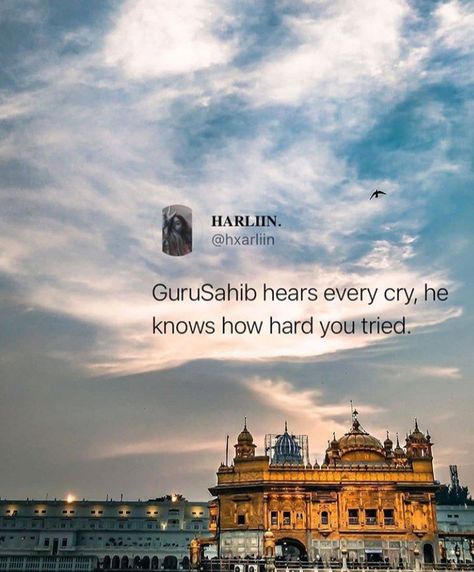 Lion King Quotes, Guru Nanak Photo, Serenity Quotes, Guru Granth Sahib Quotes, Tears Quotes, Spiritual Inspiration Quotes, Fashion Quotes Inspirational, Sikh Quotes, Guru Quotes