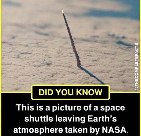 Universal Facts, Wierd Facts, Astronomy Facts, Psychological Facts Interesting, Fun Facts About Life, Interesting Science Facts, Facts About World, Brain Facts, True Interesting Facts