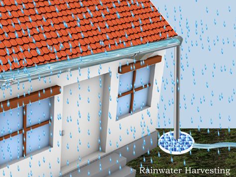 Rainwater Harvesting In Urban India  https://saniconenergysolutions.wordpress.com/2016/02/15/rainwater-harvesting-in-urban-india/ Rain Water Harvesting, Water Harvesting, Rainwater Harvesting System, Catchment Area, Rainwater Harvesting, Life On Earth, Water Can, Water Sources, Sustainable Home