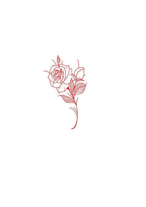 Red Rose Line Tattoo, Floral Outlines, Rose Flower Tattoos, Rose Tattoos For Women, Tattoo Board, Red Rose Tattoo, Red Tattoos, Outline Designs, Rose Tattoo Design