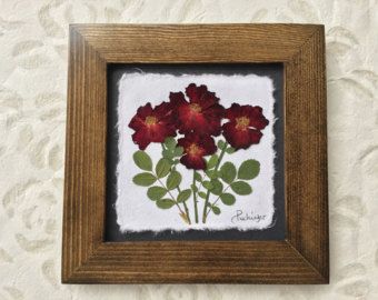 Pressed Delphinium Picture. Available in Black and Walnut Pressed Botanical Art, Rose Picture, Botanical Home Decor, Botanical Home, Pressed Botanicals, Valentines Roses, Illustration Botanique, Flower Meanings, Botanical Artwork