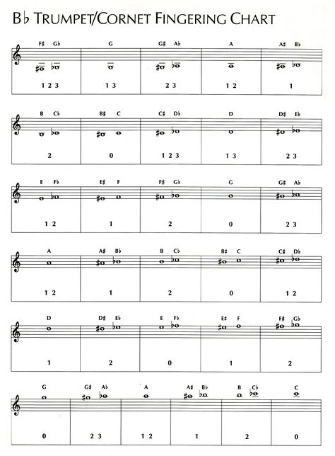 B flat  trumpet fingering chart Trumpet Fingering Chart, Wedding Checklist Detailed, Music Rules, Trumpet Sheet Music, Trumpet Music, Teacher Evaluation, Coloring Pages Inspirational, Trumpets, Music Mood