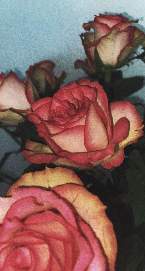 2016 Instagram Aesthetic, Wallpaper Iphone Floral, Rose Iphone Wallpaper, Flower Therapy, Art Wallpaper Iphone, Beautiful Flowers Pictures, Cute Patterns Wallpaper, Pastel Wallpaper, Background Pictures