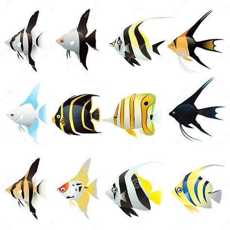 Set of angel fish Cartoon stock vector. Illustration of flame - 128861858 Angel Fish Illustration, Angel Fish Drawing, Fish Cartoon, Watercolor Angel, Fish Illustration, Painted Walls, Fish Drawings, Wine Night, Video Art