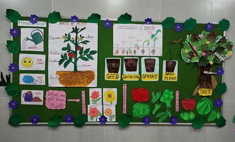 Plants Theme Board Ideas, Plants Theme Board Ideas For Preschool, Plant Science Fair Projects, Garden Bulletin Boards, Plant Lessons, Theme Board, Plant Activities, Dramatic Play Preschool, Alphabet Phonics