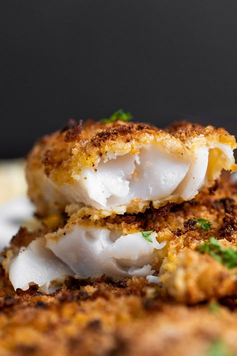 Air Fried Haddock Recipes, Breaded Haddock In Air Fryer, Air Fryer Rock Fish, Haddock Fish Recipes In Air Fryer, Air Fryer Breaded Fish Fillets, Panko Fish Air Fryer, Pickerel Fish Recipes Air Fryer, Alaskan Pollock Recipes Air Fryer, Rock Fish Recipe Air Fryer