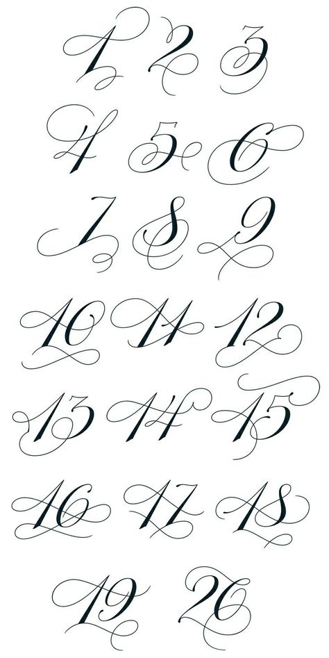 Number flourishes Tattoo Fonts Alphabet, Calligraphy Fonts Alphabet, Tattoo Fonts Cursive, Tattoo Placements, Lettering Styles Alphabet, Number Tattoo, Copperplate Calligraphy, Alfabet Letters, Tattoo Lettering Fonts