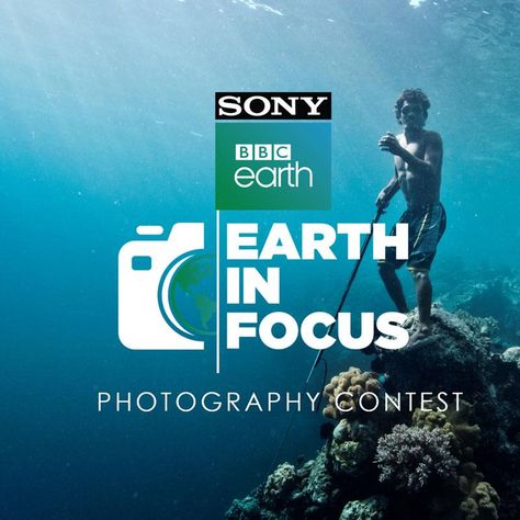 Sony BBC Earth Adidas Art, Bbc Earth, World Photography Day, Beauty Of The World, New Television, Entertainment Channel, The Art Of Storytelling, Photography Contest, Photography Day