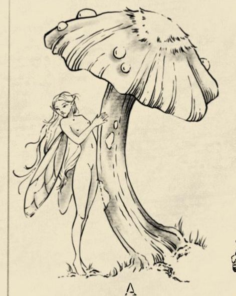 Fairy Pen Drawing, Fairy Garden Drawing, Fairy Sketch, Fairy Tattoo Designs, Fairy Drawings, Fairytale Photography, Fairy Artwork, Mushroom Art, Art Drawings Sketches Creative