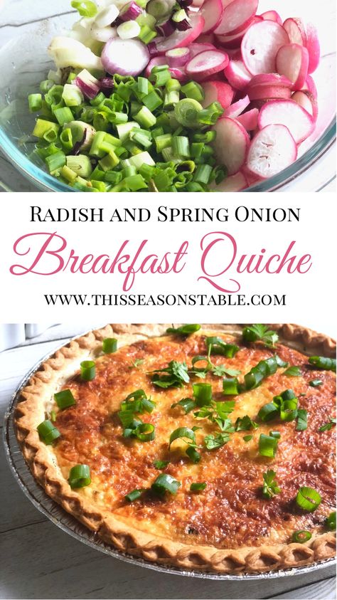 Looking for a fun and unique way to use up radishes this spring? Check out this Radish, Spring Onion, and Cream Cheese Breakfast Quiche! This is what brunch dreams are made of! #breakfast #quiche #radish #brunch #quicherecipes #brunchrecipes #easterrecipes via @thisseasonstable French Breakfast Radish Recipe, Breakfast Radish Recipes, French Breakfast Radish, Cream Cheese Breakfast, Savory Tarts, Radish Recipes, Cheese Breakfast, Csa Recipes, French Breakfast