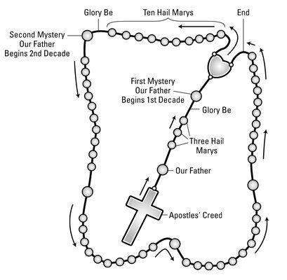 How to Pray the Rosary — Corpus Christi College Fatima Prayer, Catholic Feast Days, Decades Of The Rosary, Praying The Psalms, Jesus In The Temple, Hail Holy Queen, Pray The Rosary, Apostles Creed, Rosary Prayer