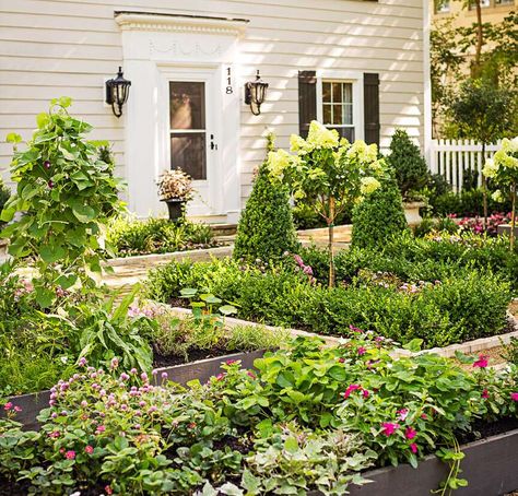 Front-yard garden Raised Beds In Front Yard, Basic Front Yard Landscaping Ideas, No Landscaping Front Yards, Front Yard Garden Boxes, Garden Design Layout Landscaping, Backyard Garden Beds, Simple Landscaping, Front Yard Plants, Front Yards Curb Appeal