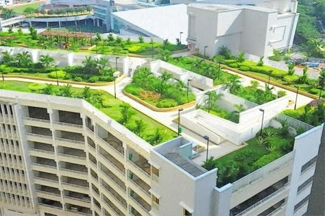 Echo of the Past, Latest Trends in Green Building of Roof Gardens Green Roof Design, Green Roof Garden, Eco Park, Roof Garden Design, Roof Gardens, Urban Heat Island, Rooftop Design, Building Drawing, Roof Architecture