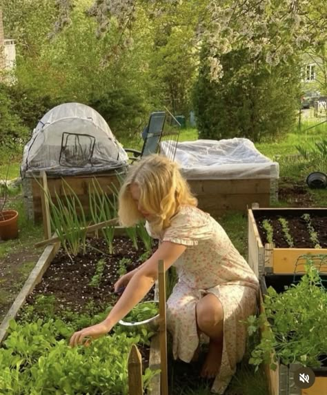 bc your backyard should feel like home too @dabeholder Gardening Aesthetic Girl, Big Green House, Marketing Photoshoot, Garden Lifestyle, Greenhouse Pictures, Relationship With Self, Feminine Lifestyle, Work Song, Backyard Food