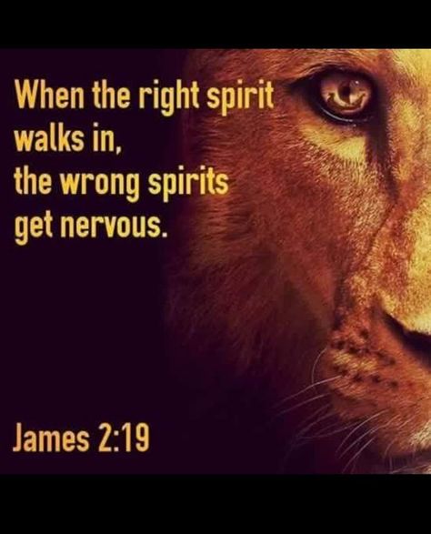 When the Right Spirit Walks In, The Wrong Spirits get Nervous - Faith, Hope, & Growth Woord Van God, Lion Quotes, Jesus Christus, A Lion, Scripture Quotes, Verse Quotes, Bible Inspiration, Scripture Verses, Bible Verses Quotes