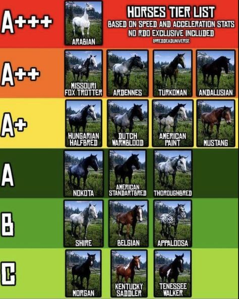 Rdr2 100% Completion Map, Rdr2 Cheat Codes, Rdr2 Horses Map, Rdr2 Tips, Rdr2 Map, Rdr Online, Rdr2 Horses, Rdo Outfits, Rdr2 Outfits