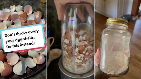 Gardener shares hack for making fertilizer out of eggshells Eggshell Fertilizer, Garden Hack Ideas, Diy Fertilizer, Growing Tomato Plants, Gardening Hacks, Plant Hacks, Fertilizer For Plants, Diy Gardening, Plant Ideas