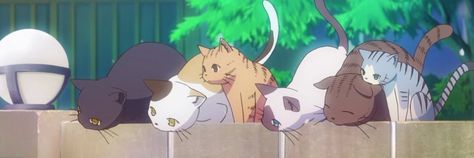 cats anime twitter header Cute Twitter Headers, Cute Headers For Twitter, Twitter Header Pictures, Twitter Header Aesthetic, Twitter Header Photos, Cute Banners, Cute Headers, Twitter Banner, Header Pictures