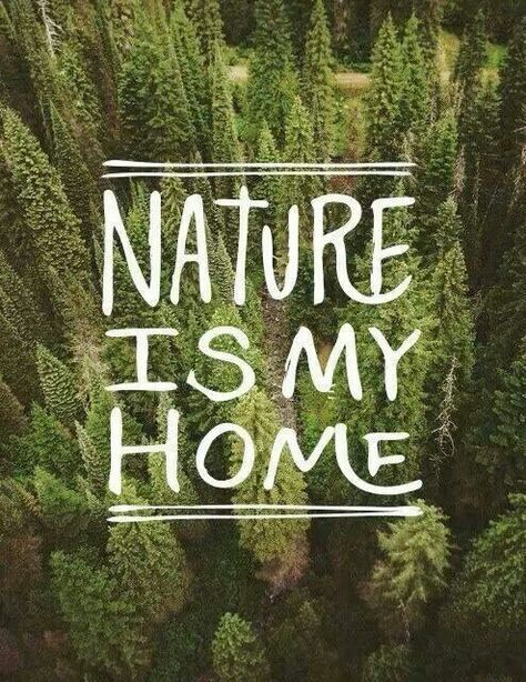 Nature is my Home Eco Therapy, Nature Quotes Beautiful, Mother Nature Quotes, Nature Quotes Adventure, Nature Words, Theme Nature, Hiking Pictures, Outdoor Quotes, Adventure Quotes